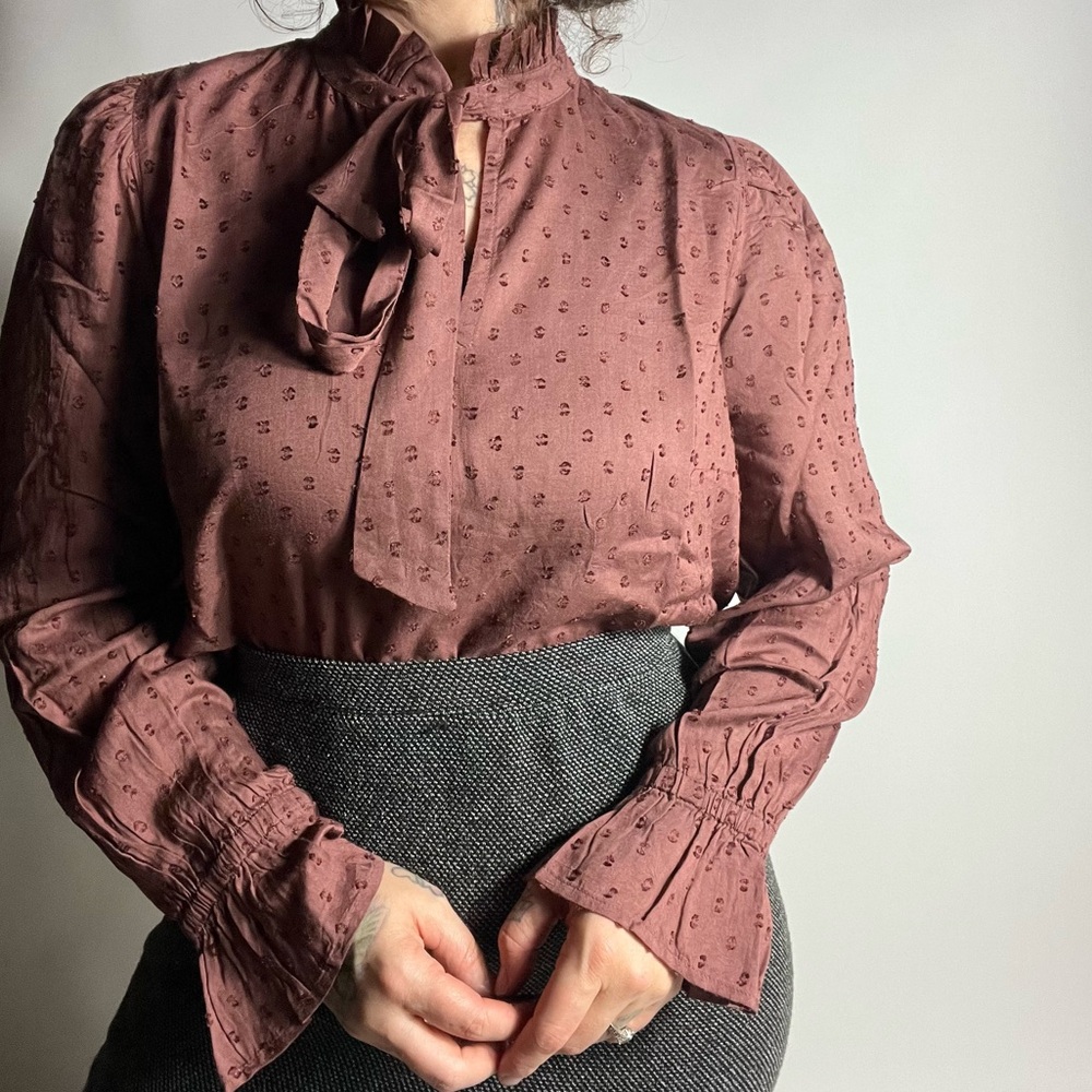 NWT GARNET HILL Zoe Tie Neck Ruffle Swiss Dot Long Sleeve Blouse Mauve XS